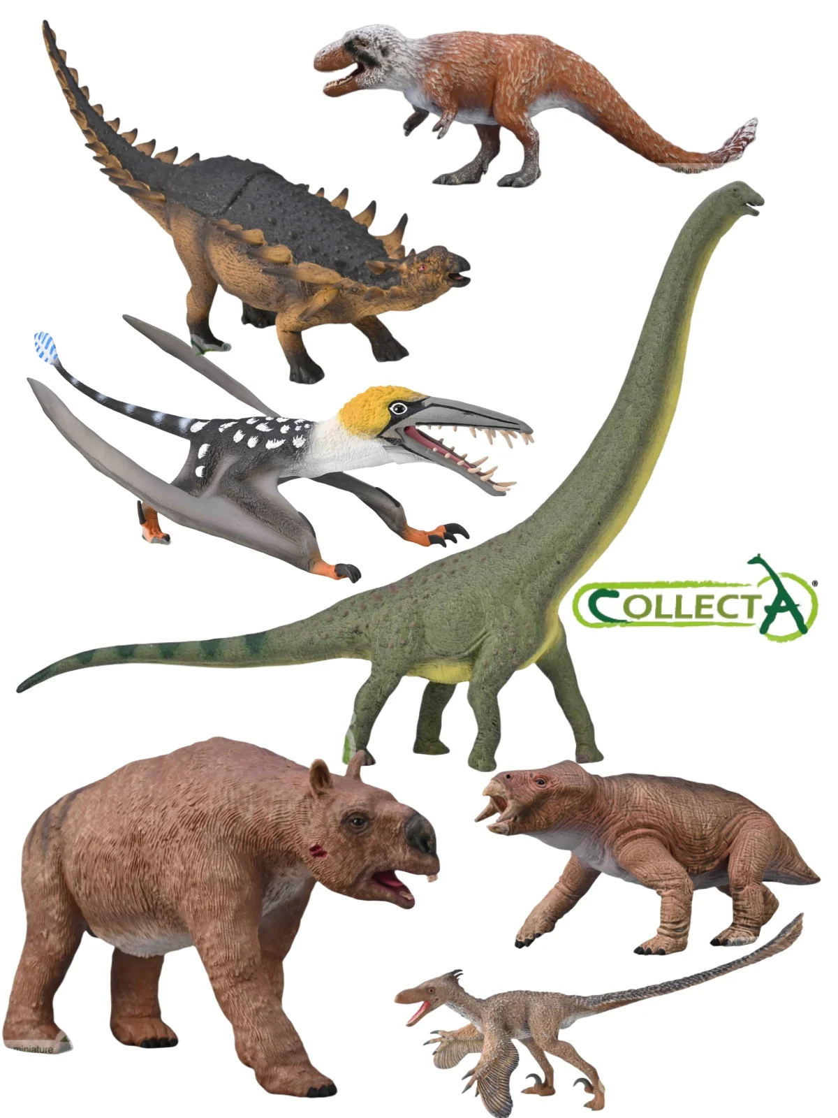 Brave Dragon Flng P…