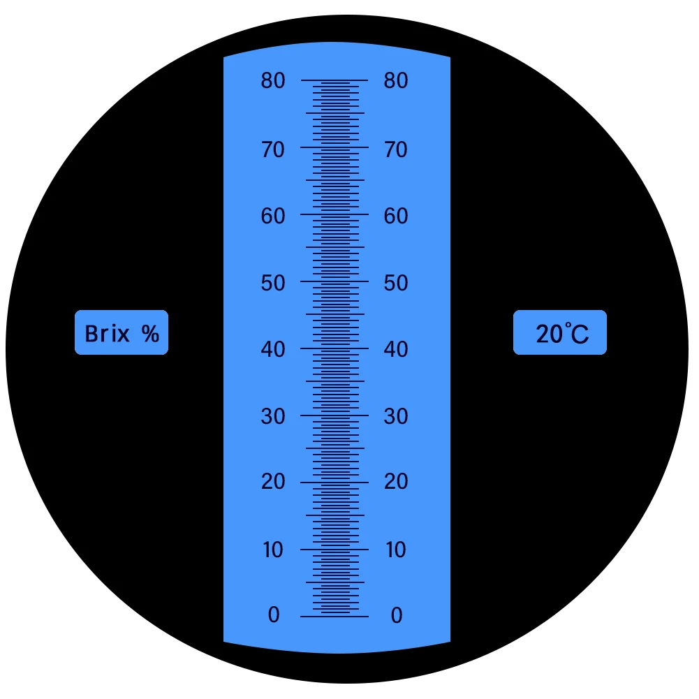 Ręczny refraktometr cukru 0-80% Tester stężenia cukru miernik cukru owocowego żywność napoje detektor cukru Instrument optyczny