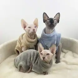 Fashion Winter Sphynx Cat clothes Hairless Cat Clothes Devon Rex Comfort Cotton Coat Outwear Cat Pajamas Cat Supplier XS to XXL