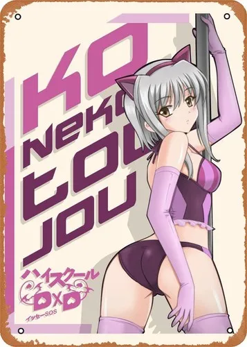 

High School figure poster metal tin sign Momo DxD Wall Art Decor