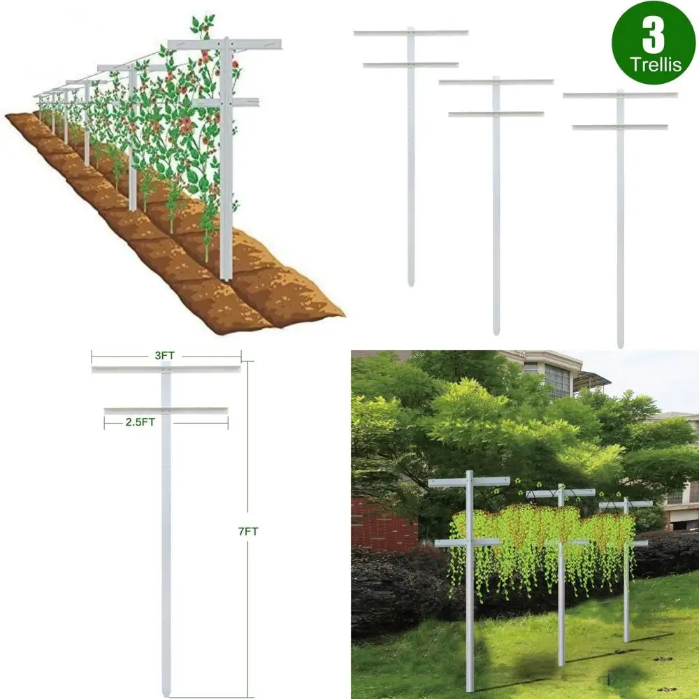 

Heavy-Duty 7ft Tall Fiberglass Trellis Set for Raspberry and Grape Plants, Easy Installation, Ideal for Vineyard Use