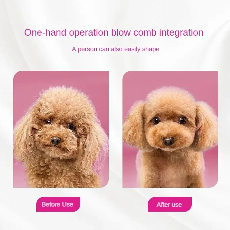 مجفف شعر الحيوانات الأليفة، تمشيط ناعم، متكامل صغير ومتوسط الحجم، مجفف شعر للقطط والكلاب، تجفيف شعر صامت
