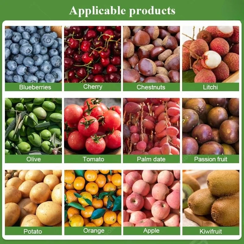 Fruit Vegetable Table Sorter Roller Grading Potato Blueberry Onion Grader and Size Sorting Machine for Sale
