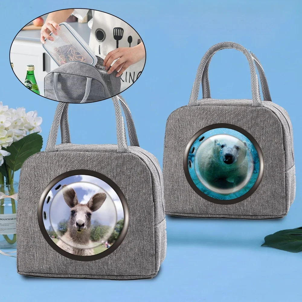 Large Capacity Urban Worker Bento Pouch New Insulated Lunch Bag Multifunctional School Student Lunch Bags Window Printing Unisex