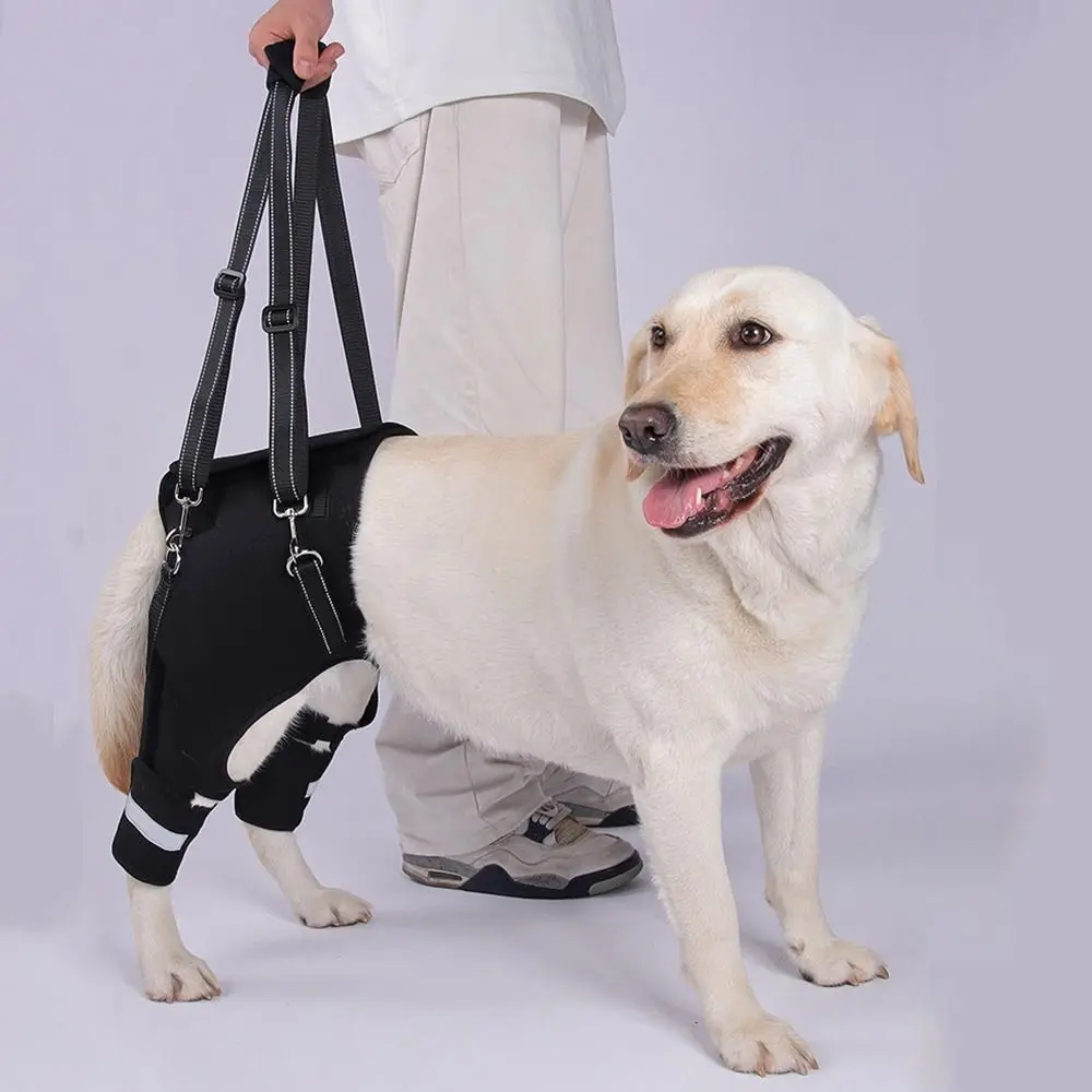 Legs Hip Support Dog Lift Harness Black Sturdy Handle Dog Rear Leg Support Adjustable Reflective Strip Walking Support Straps