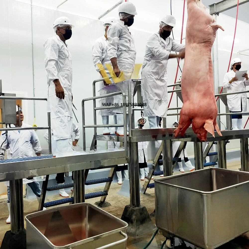 Complete 50-100 Pig Abattoir Line Pork Processing Plant  Slaughtering Equipment Sow Slaughterhouse