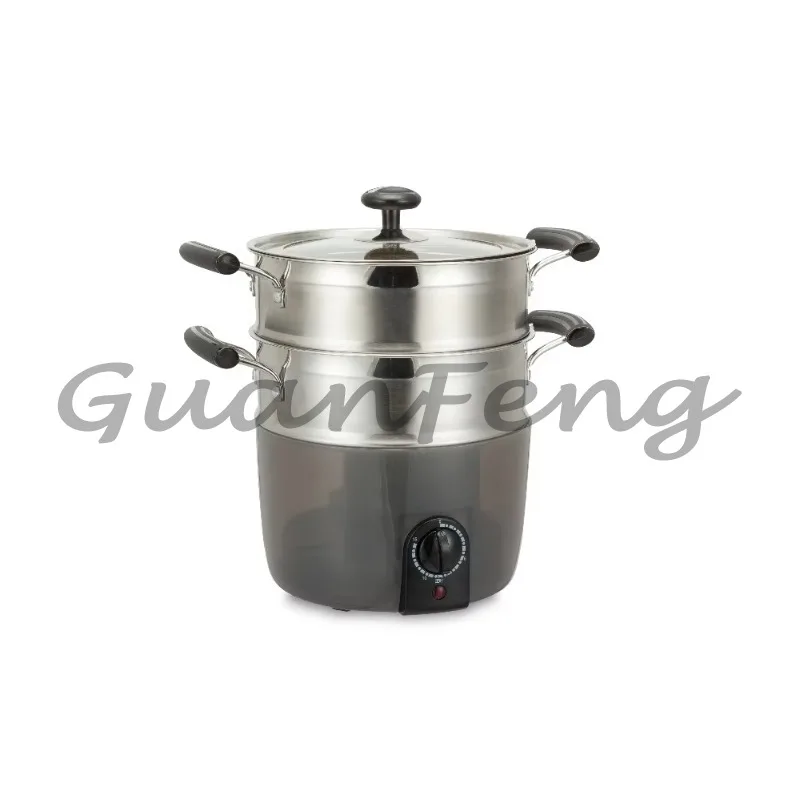 Stainless steel portable electric steamer with digital timer control, household