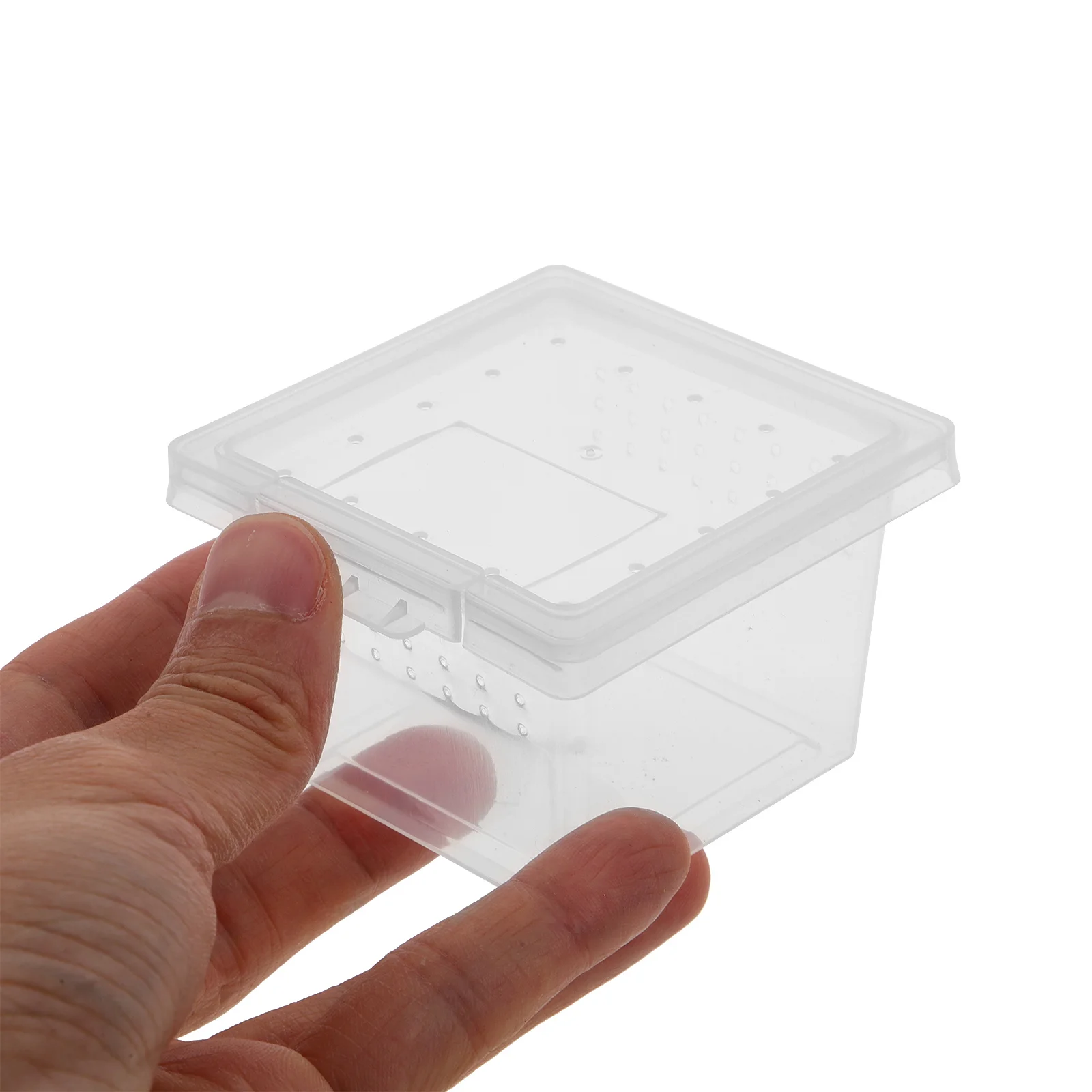 100Pcs Insect Feeding Box Premium Transparent Reptile Breeding Container for Tarantulas Crickets Snails Mantis Lizard Spider