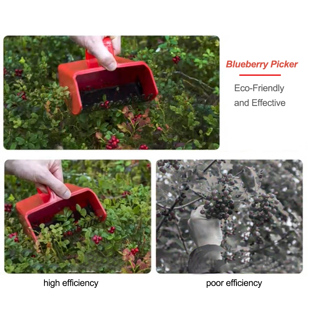 

Blueberry Picker Indoor Collection Tools Labor-saving Fruit Harvester