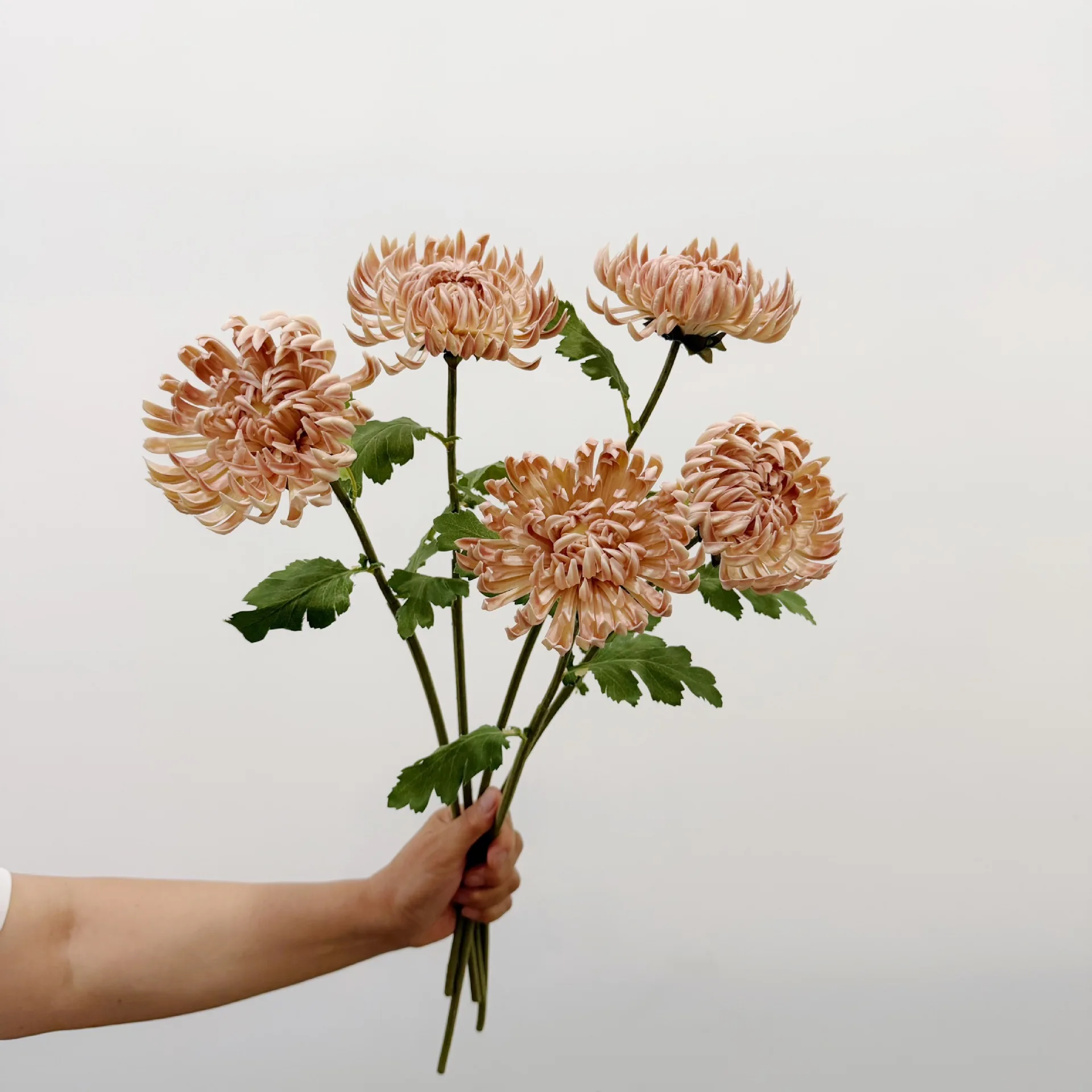 2 Stück Künstliche Blumen PU-Chrysanthemen Heimdekoration Hochzeitsblumenarrangement DIY Brautstrauß Zubehör Partydekoration – Detail 1