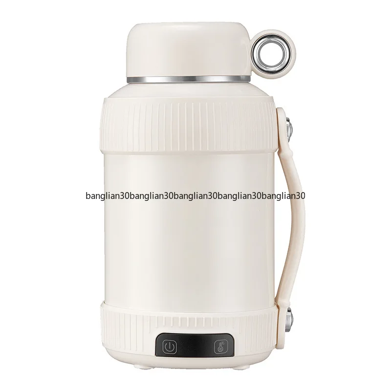 Cross-border 110-240v Portable Boiler Electric WaterTravel Kettle Household Multifunctional Thermos Cup
