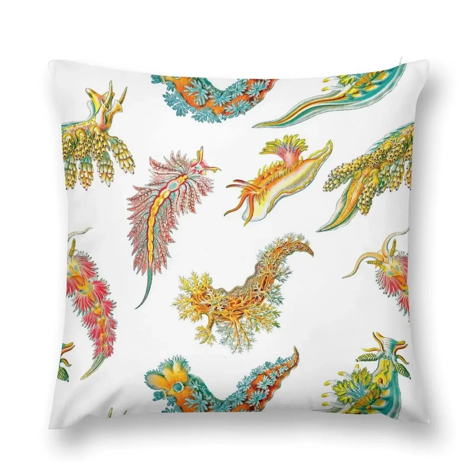 

Ernst Haeckel Nudibranch Sea Slugs Tossed Throw Pillow Custom Cushion Photo Pillowcase Cushion pillow