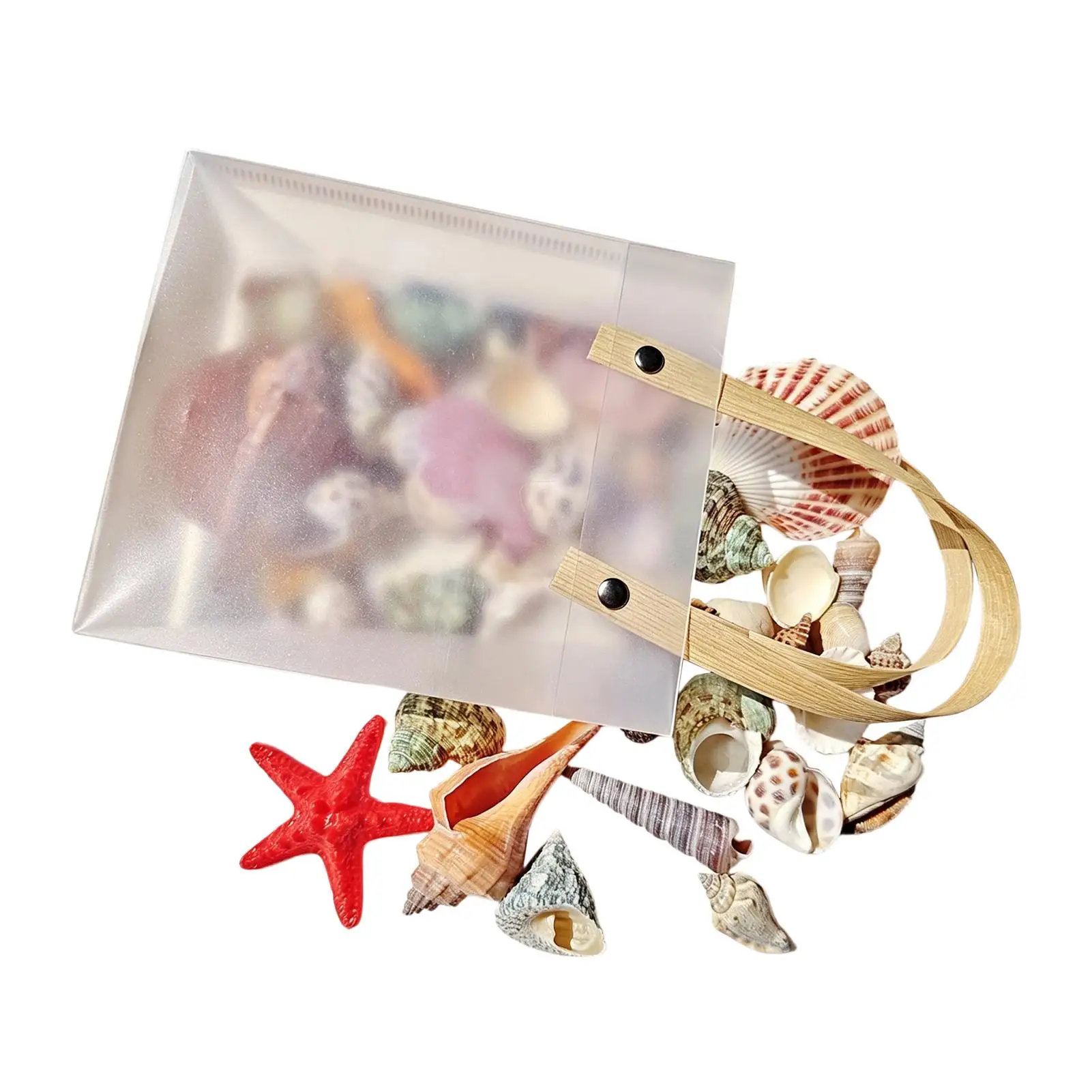 Tiny Seashells for Crafts Natural Sea Theme Candle Making Starfish Small Sea Shells for Beginner Adult Kid Art Teacher Home