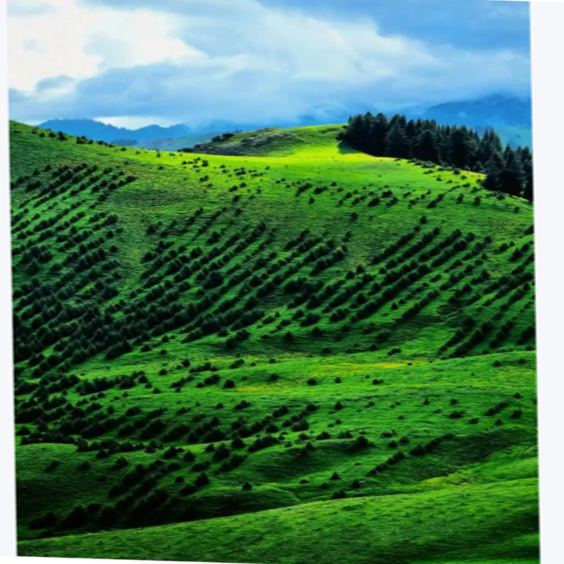 

DarwinFPV TinyApe 2,5 дюйма 108 мм колесная база квадрокоптера 3K комплект рамы из углеродного волокна подходит для 1002-1305 запасных частей бесщеточного двигателя