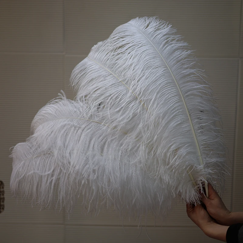 10Pcs/Lot 60-65cm White Ostrich Feathers for Home Table Centerpiece Handicraft Accessories Wedding Party Decoration