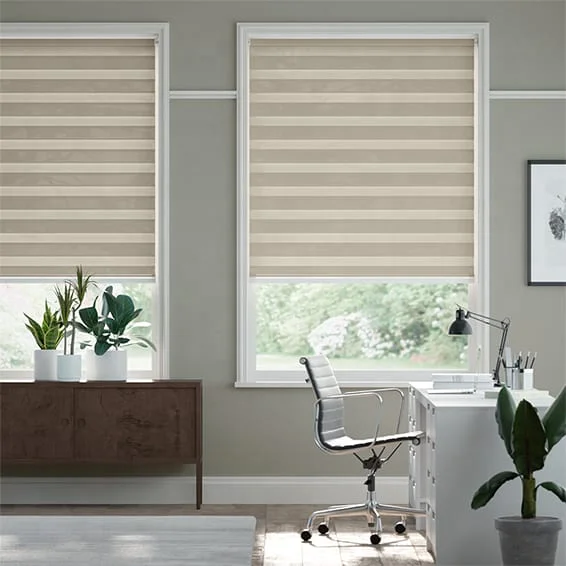 Zebra Blinds for Windows Dual Layer Light Filtering Roller Shades Privacy Light Control Custom Size Window Coverings For Bedroom