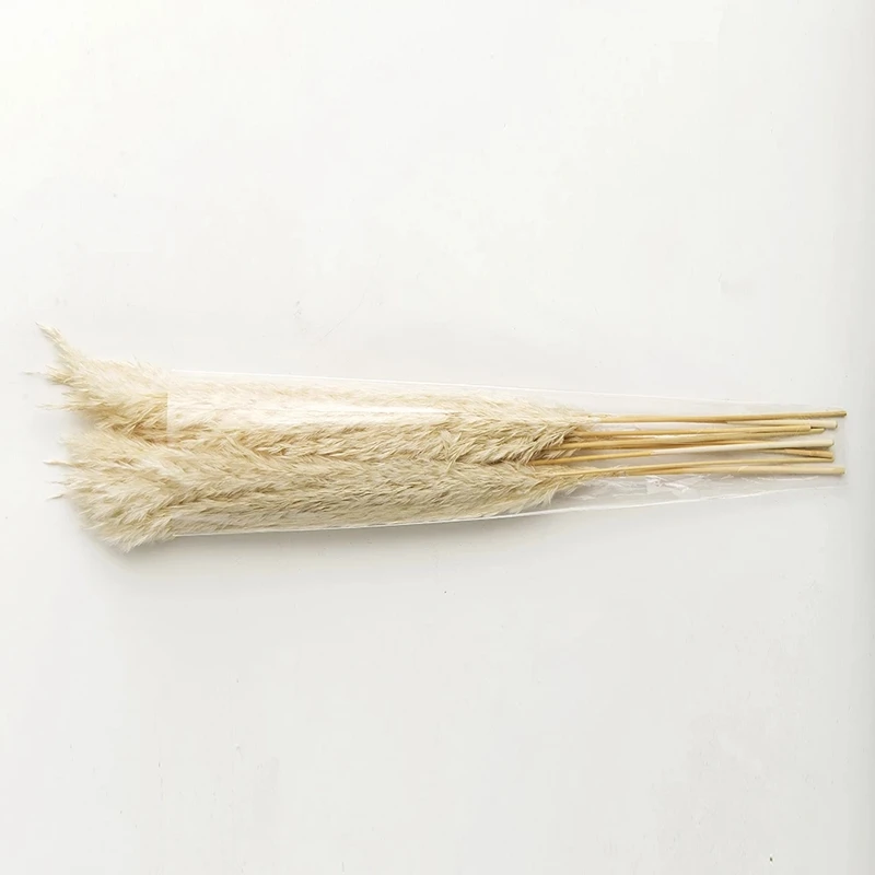 10Pcs Pampas Grass Decor White Color  Natural Dried Flowers Bleached Bouquet Boho Vintage Style For Wedding Home