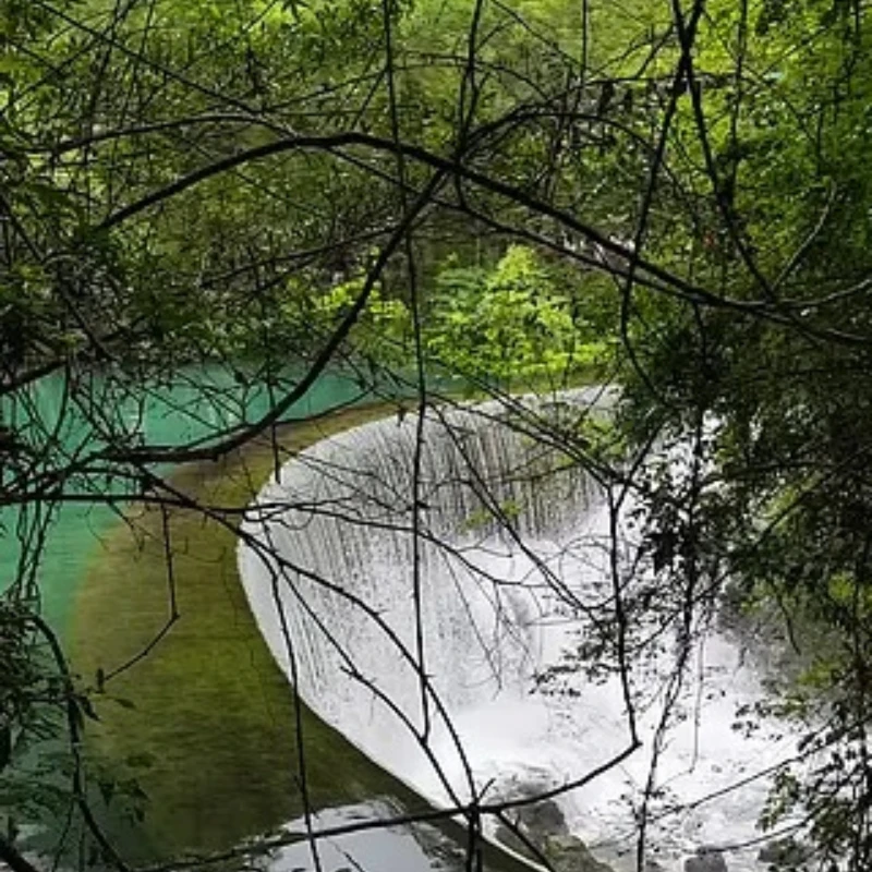 

JX SERVO PDI-HV4416MG 16KG Metal Gear Digital Servo High Torque for RC Cars Aircraft UAV Helicopters Mechanical Arms