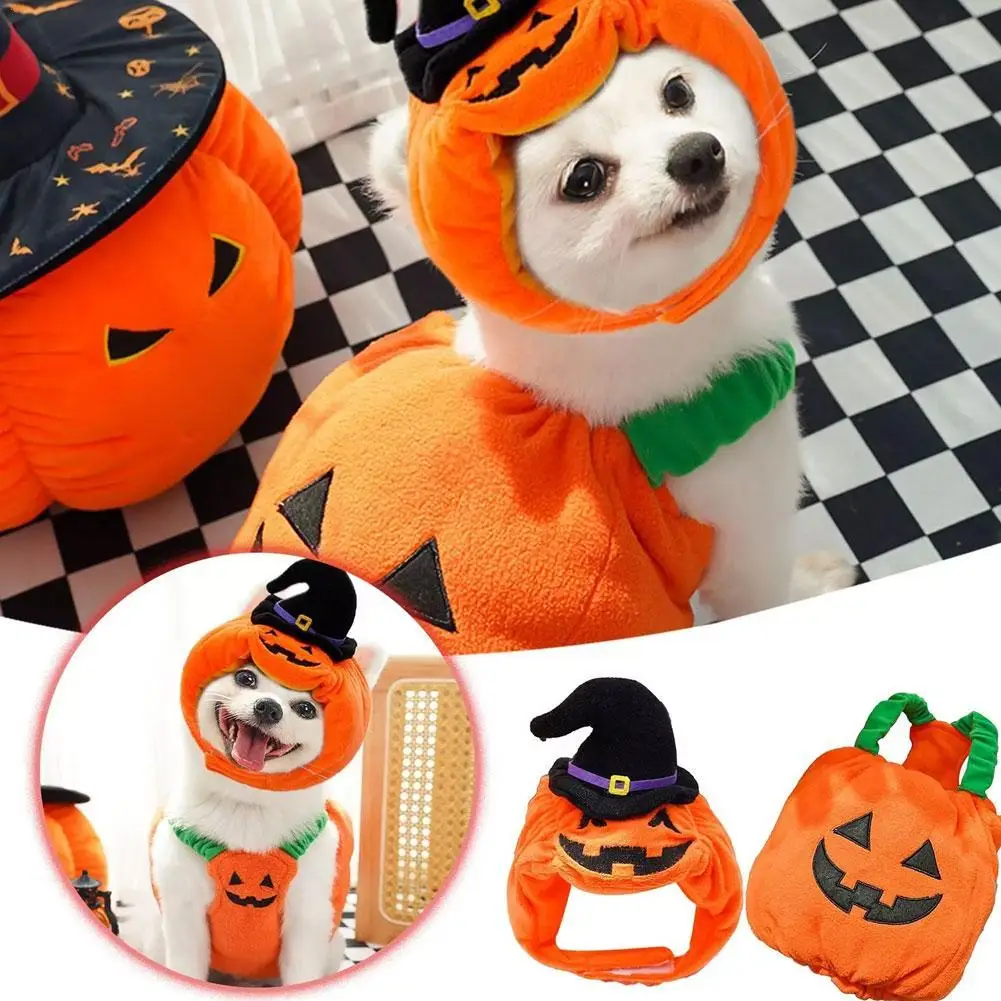 Halloween Dog Costumes Funny Pumpkin Lantern Transformation Outfit Halloween Dog Cat Two Legged Pet Cute Pumpkin Hat Dog Jacket