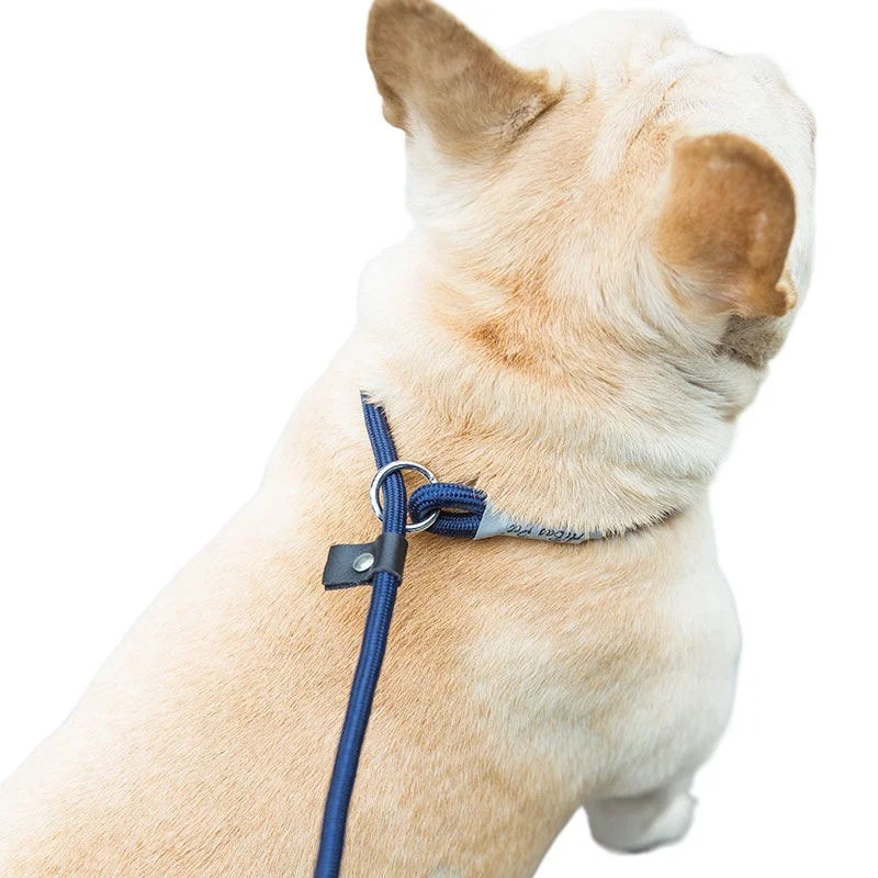 Correa de adiestramiento para perros, cuerda deslizante, correa trenzada resistente, collar con lazo ajustable, correas de entrenamiento para perros pequeños y medianos._voghion.com