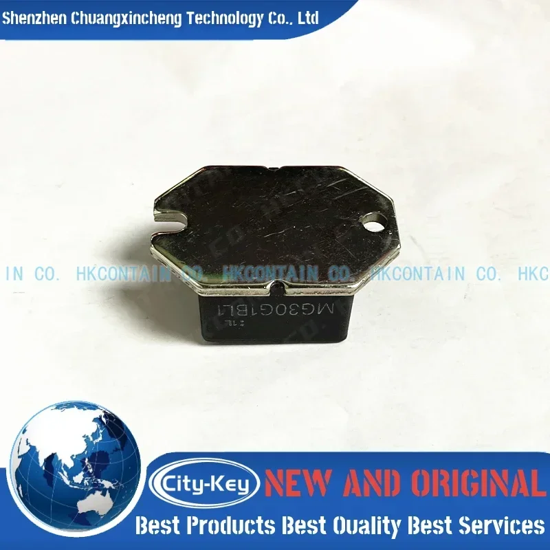 New and Original MG30G1BL1 MG30G1BL2 MG30G1BL3 MG30G1BL4 MG30G2CL1 MG30G2CL2 MG30G2CL3 MG30G2YM1 MG30G6EL1 MG30G6EL2 IGBT MODULE