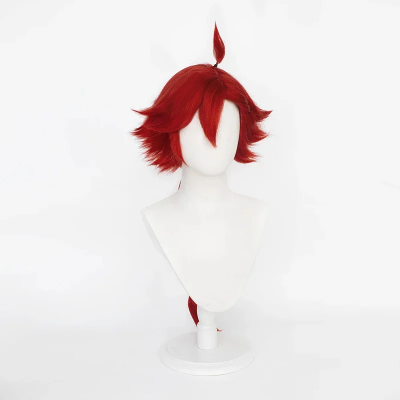 HOLOUN Sulletta 머큐리 코스프레 가발, 내열성, 머큐리 가짜 머리카락 버건디, 할로윈 크리스마스 새해 선물
