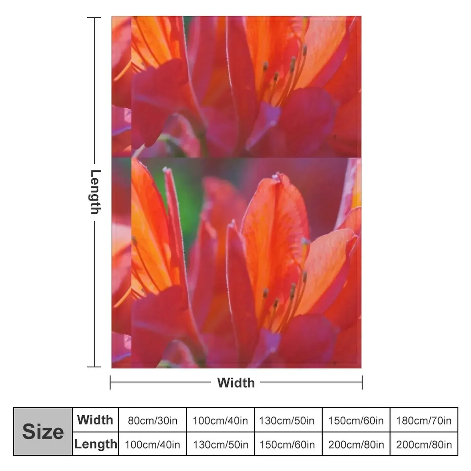 New bright red rhododendron flower Throw Blanket couch cozy soft plush fuzzy picnic outdoor blanket