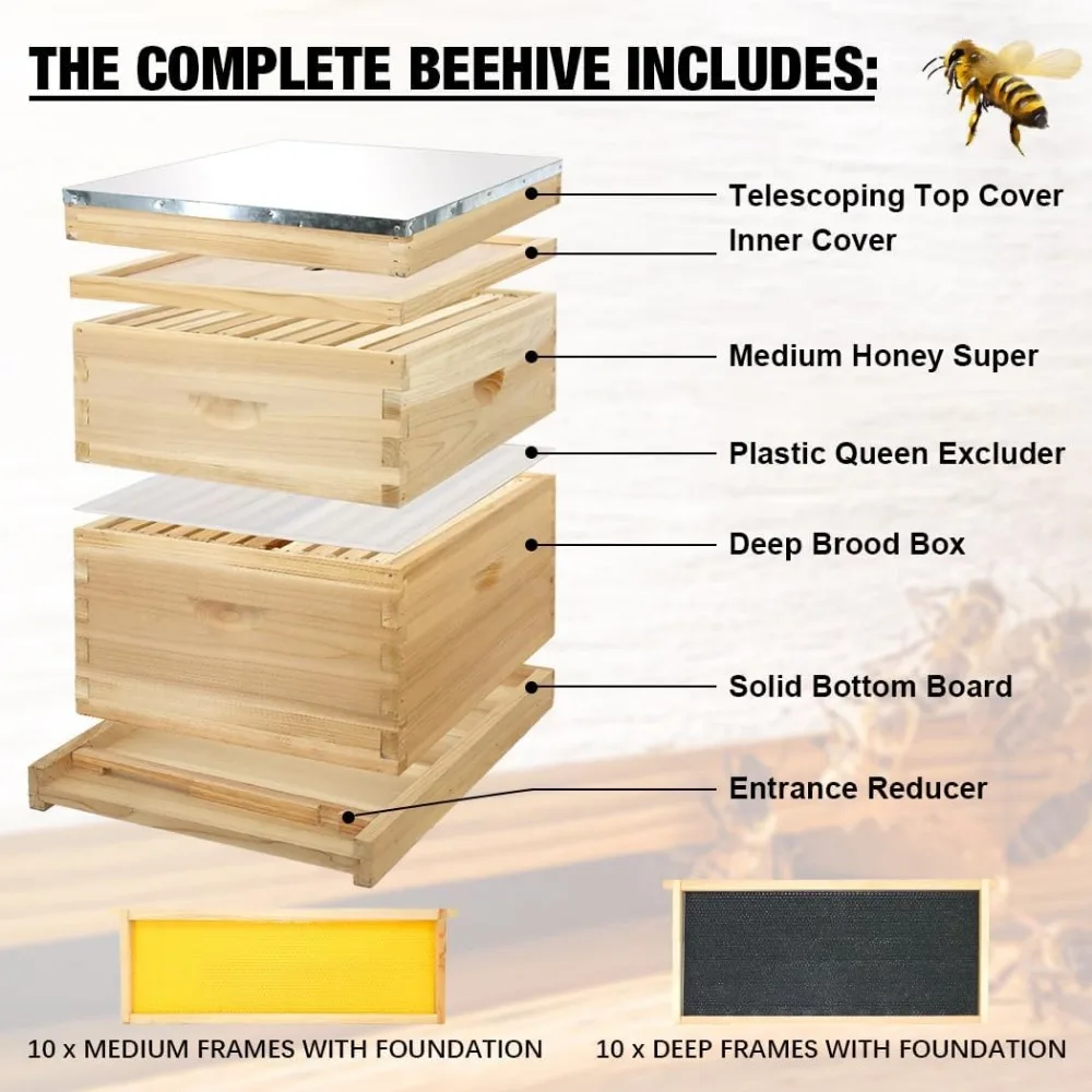 10 Frame Bees Hive, Compelte Bee Hive Starter Kit Includes 1 Deep Brood Honey Bee Hives Box, 1 Medium Super Bee Box with Beehive