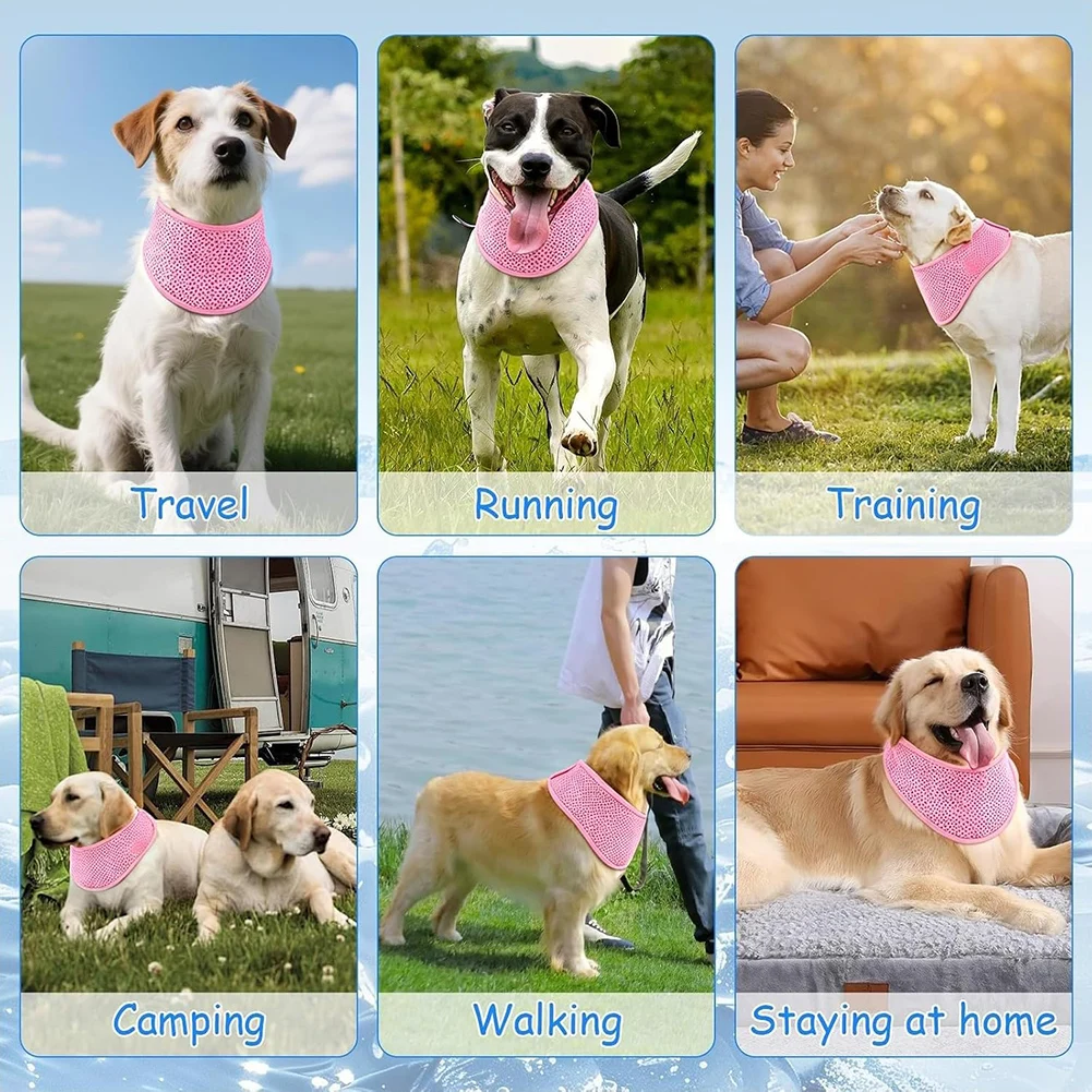 Thumbnail 4 - #34 Best Dog Bandanas to Buy In 2026