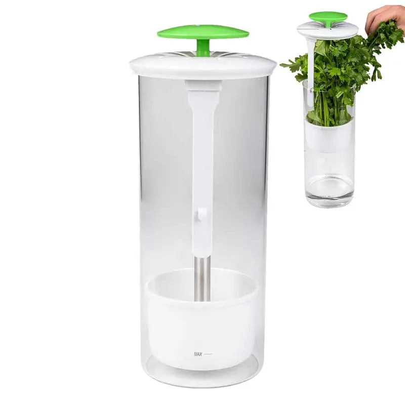 

Cilantro Keeper Green Vegetables Storage Saver Herb Preserver Fresh Herb Organizer Keeper With Ventilation Slot kitchen gadgets