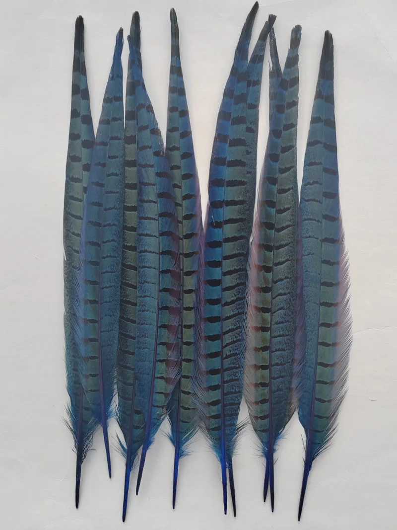 Plumas de colores!10Pcs/Lot!14-16\