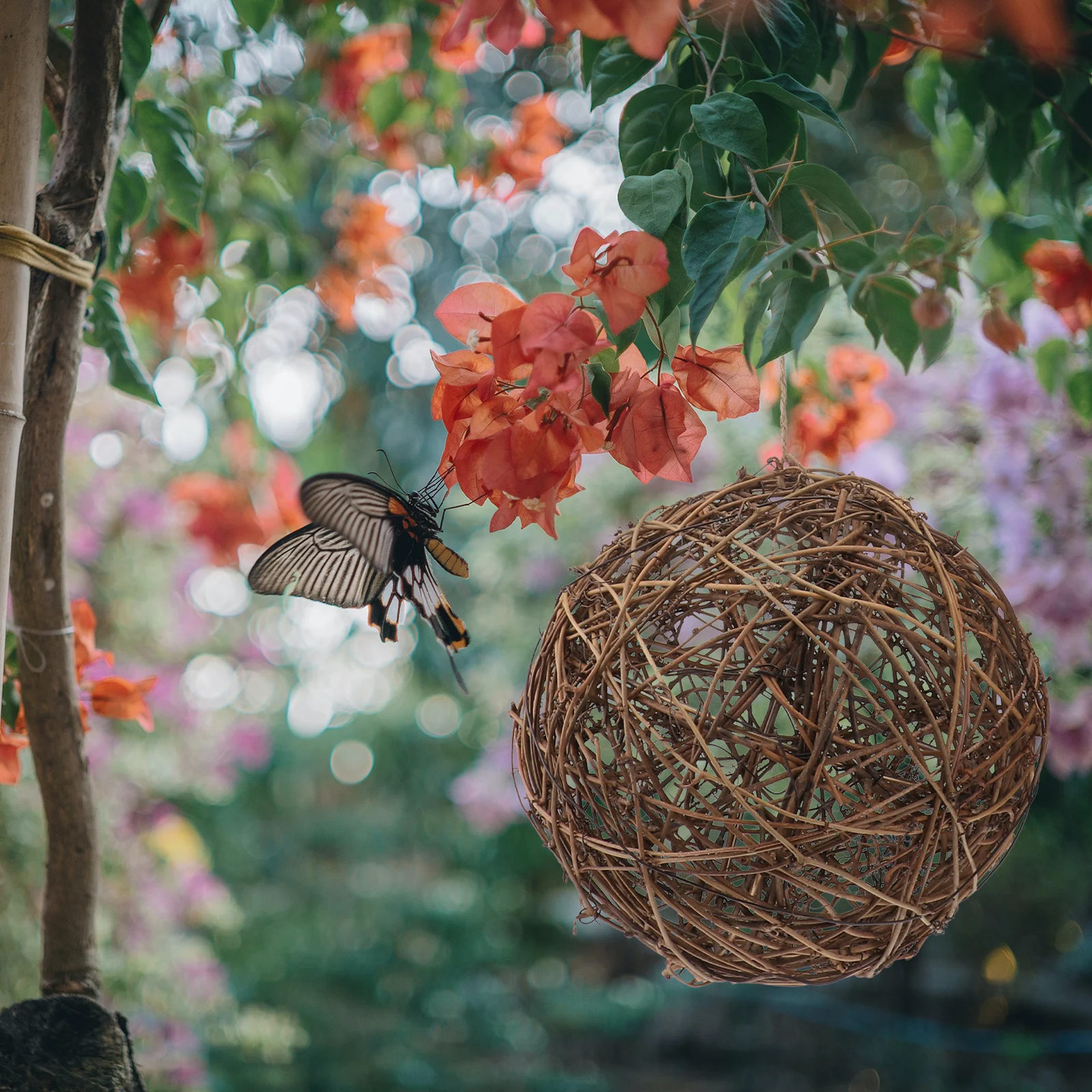 

1Pcs Bird Nesting Material Outdoor Hanging Rattan Ball Nest for Wild Birds DIY Garden Hummingbird Nesting