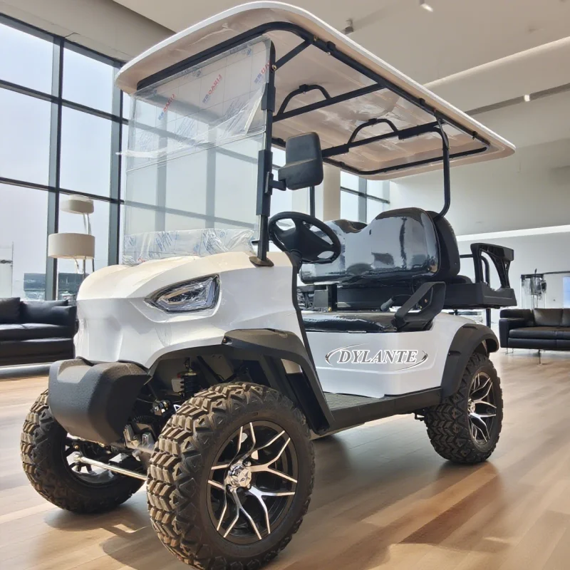 High Quality 4KW Long Range Smart Electric Golf Cart Electric 4 Wheel Electric Scooter With Rain Curtain Sunshade Golf Buggy