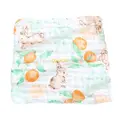 for Orange rabbit