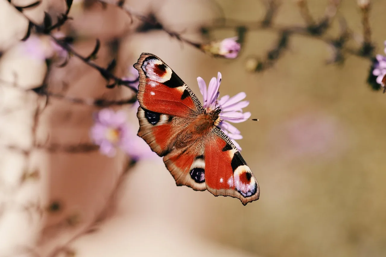 Parti di aggiornamento del motore brushless ad alta velocità 4000KV 2847 per JJRC Q130 SCY16101 Pro 16102 Pro 1/12 1/14 1/16 RC Car Sostituzione