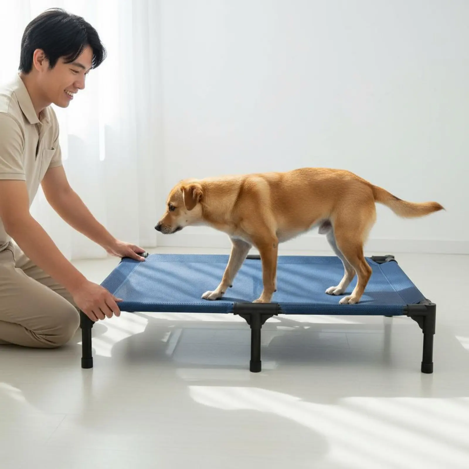 

Elevated Dog Bed Easy to Clean Folding Dog Cot Elevated Pet Bed Sturdy Steel Frame Folding Pet Cot Indoor Outdoor Use for Travel