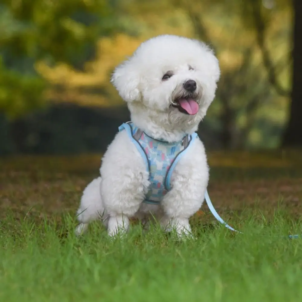 

Adjustable Dog Harness Leash Set Breathable Mesh Pet Vest Style Harness Kawaii Reflective Pet Chest Strap Daily Walk