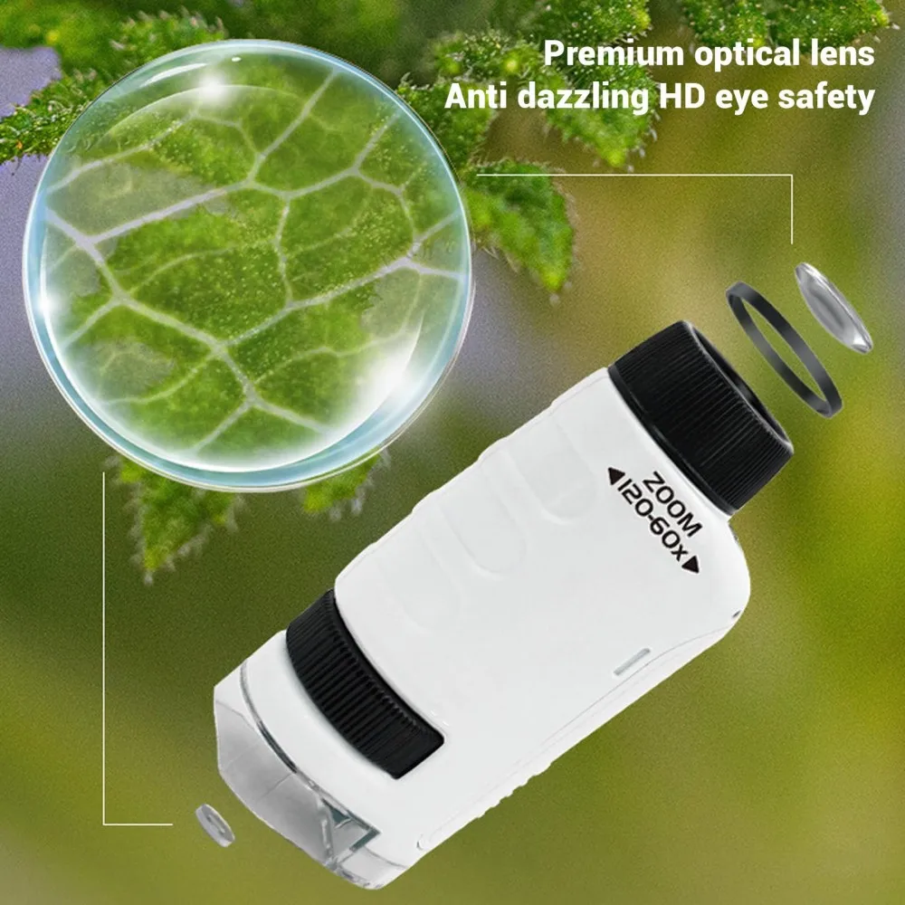 60X-120X Kit microscopio portatile Microscopi da laboratorio portatili Scienze biologiche Educativi Impara i giocattoli per il regalo dei bambini