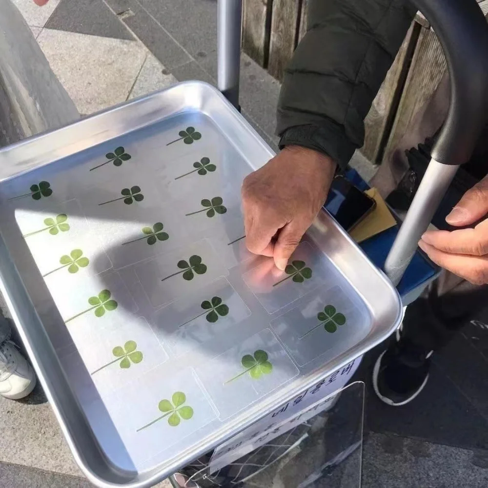 5Pcs Lucky Clover Postcards - Transparent Wishing Cards for Bookmarks & Decorations