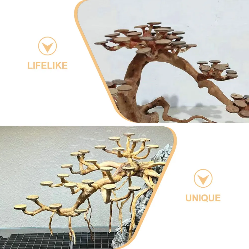 

50pcs Circle Coconut Shell Discs Aquarium Fish Tank Coconuts Shell Material Decor 2cm Diameter Scenery Materials