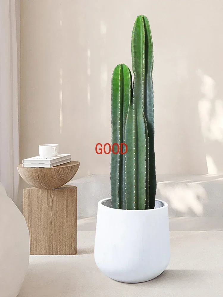 Indoor Potted Plant Living Room Large Green Plant Nordic Office Cactus Succulent