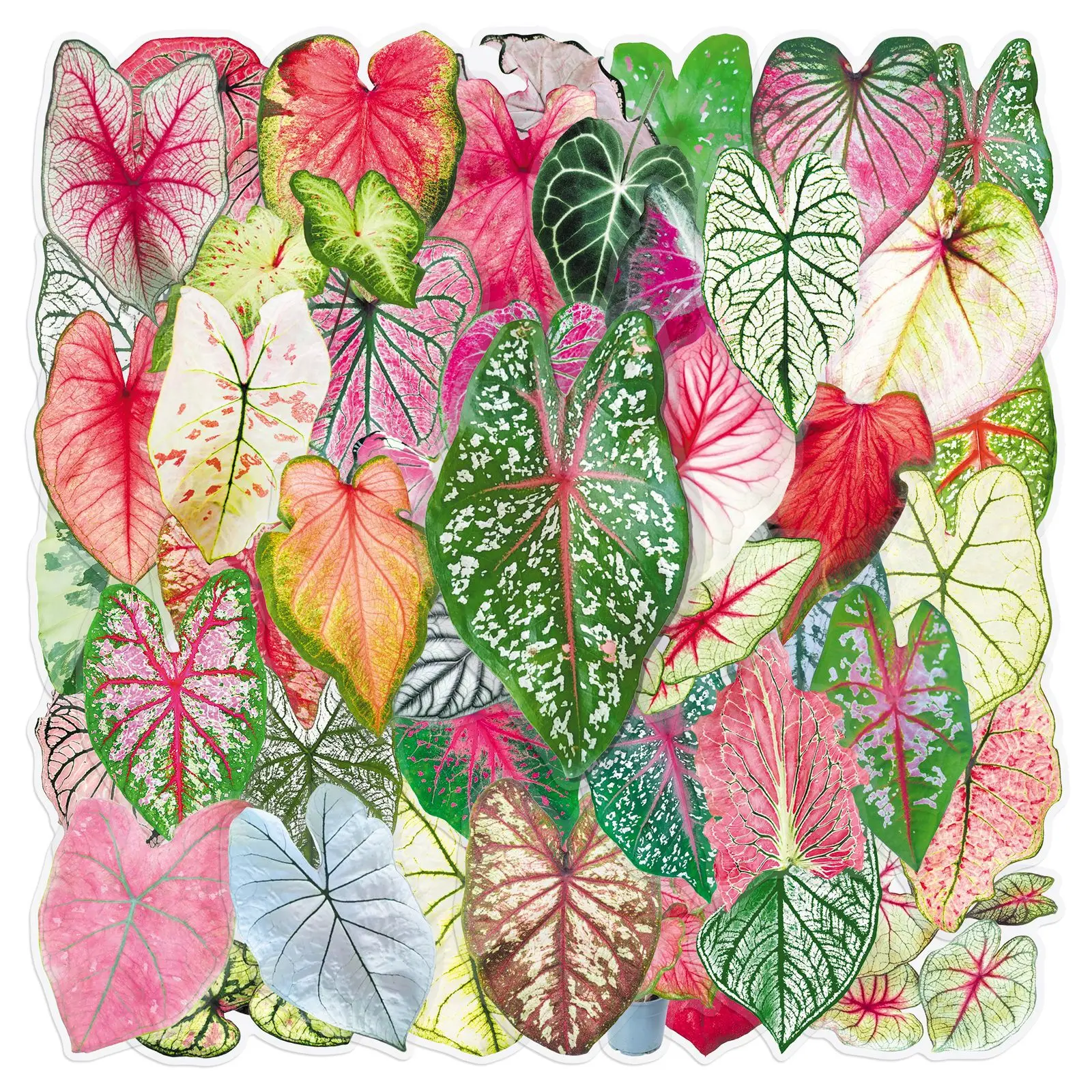 Pacote com 50 Adesivos de Plástico PET Transparente com Folhas Coloridas para Telefones, Tablets, Guitarras, Capacetes, Malas, Cadernos e Decoração DIY