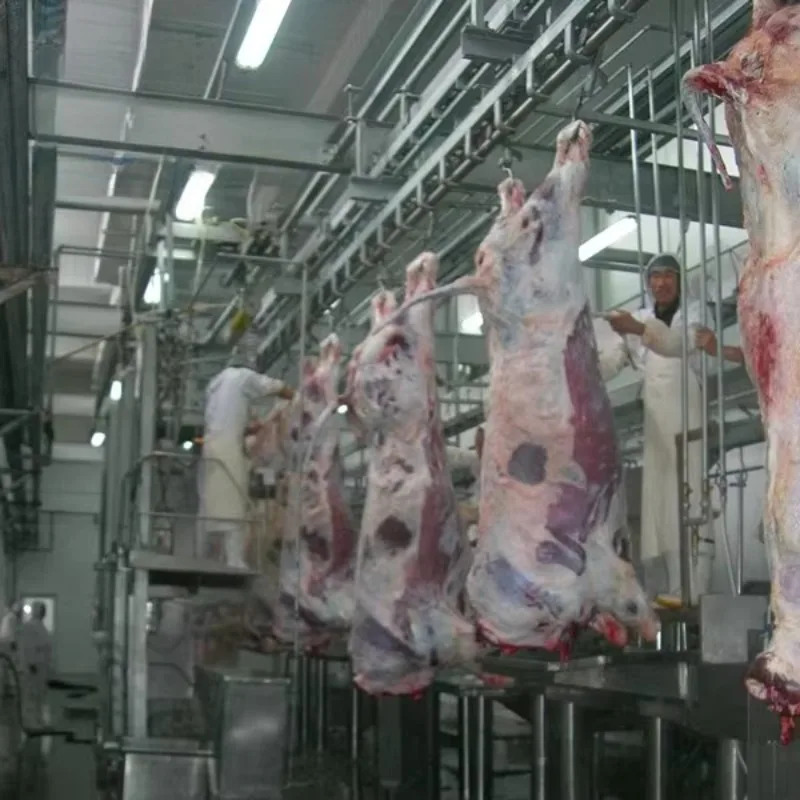 Modern Cattle Slaughter Equipment User-Friendly Easy-Operation Abattoir Machinery for Beef Processing Motor Bearing Core