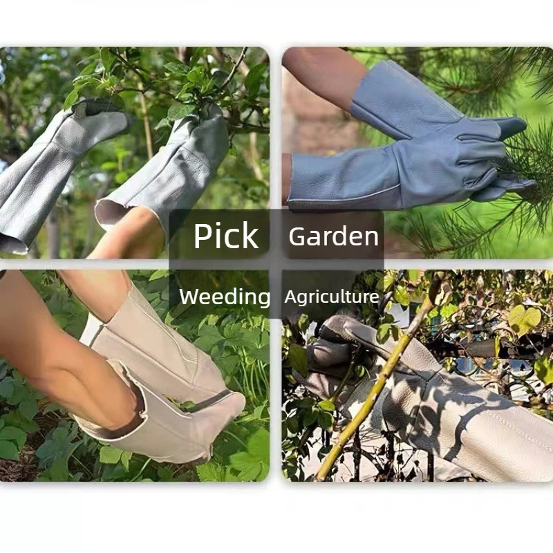 ถุงมือทำสวนหนังวัวแท้ระดับมืออ - Gardening Gloves Thorn Proof Leather บทวิจารณ์และราคา