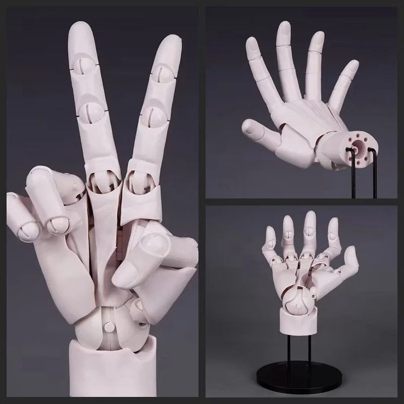 

20cm Human Hand Model With Movable Finger Joints 1:1 Simulation Palm Student Drawing Reference Art Materials Desktop OrnamentToy