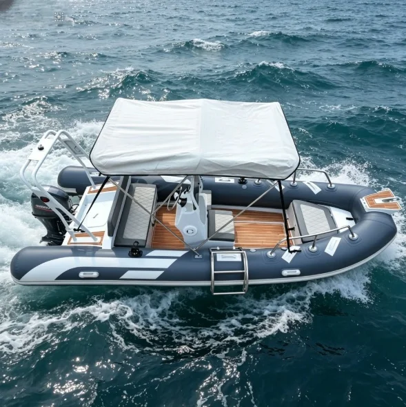 16ft Aluminum Hull Rigid Inflatable Rib Boat 480 Fishing Boat with Bimini SunShade