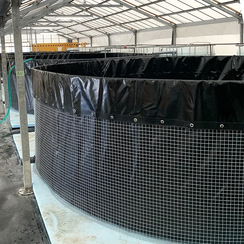 China Manufacture  Large Capacity Fish Tank Suppliers Pvc Tarpaulin  Steel  Mesh Fish Farming Tank for Outdoor