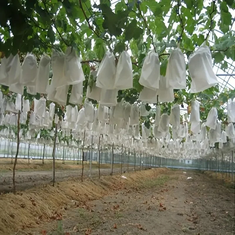 50/100Pcs White Mesh Fruit Protection Bag Durable PP/TPE Non-woven Fabric Covered Suitable for Vineyard and Home Garden Planting