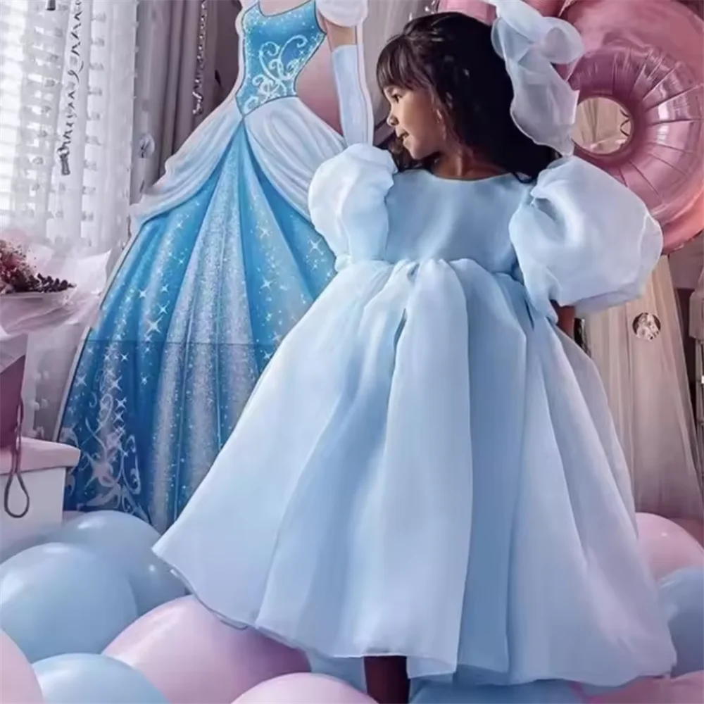أزياء فتاة الأميرة خمر اللباس تول الطفل فيستدو منتفخ كم الوردي حفل زفاف عيد ميلاد توتو اللباس ملابس الطفل