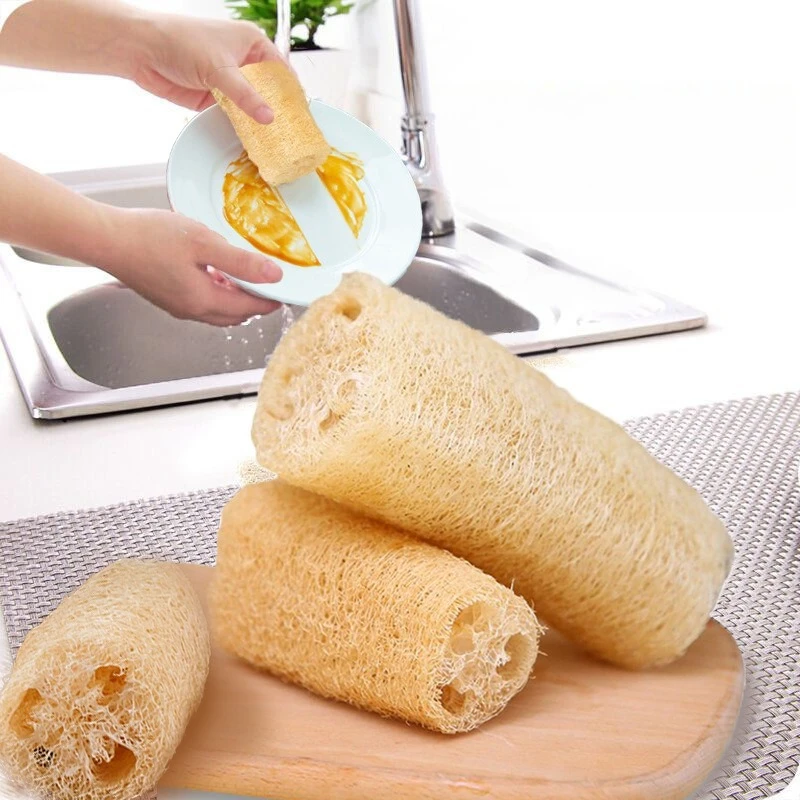 

Natural Loofah Dish Brush Pot Scrubber Eco-Friendly Kitchen Cleaning Sponge Multi-Purpose Bath Shower Body Scrubber